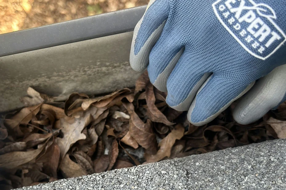 Gutter Cleaning Lakewood OH