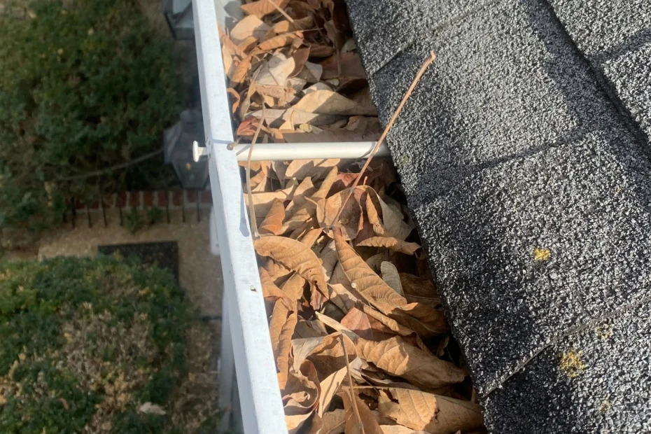 Gutter Cleaning Lakewood OH